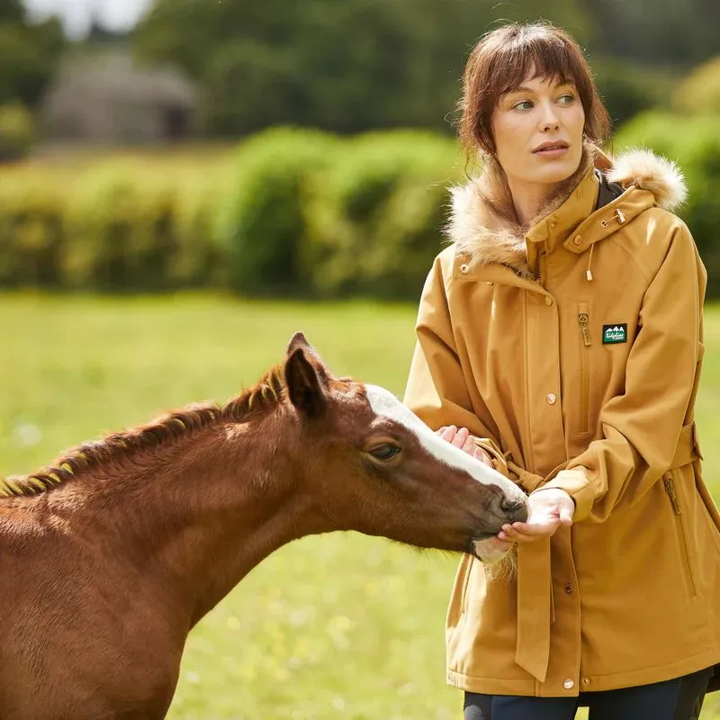 Women's Monsoon Nordic Jacket in Ochre